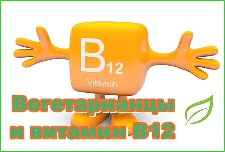 Вегетарианцы витамин B12 Вегетарианцы витамин B12