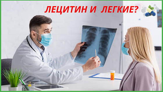 Лецитин и легкие Лецитин и легкие