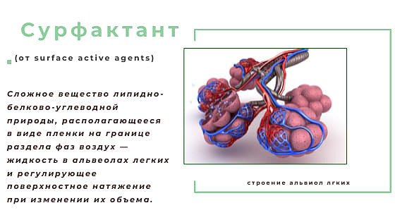 Сурфактант Сурфактант