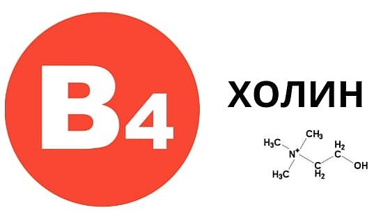 витамин В4 витамин В4