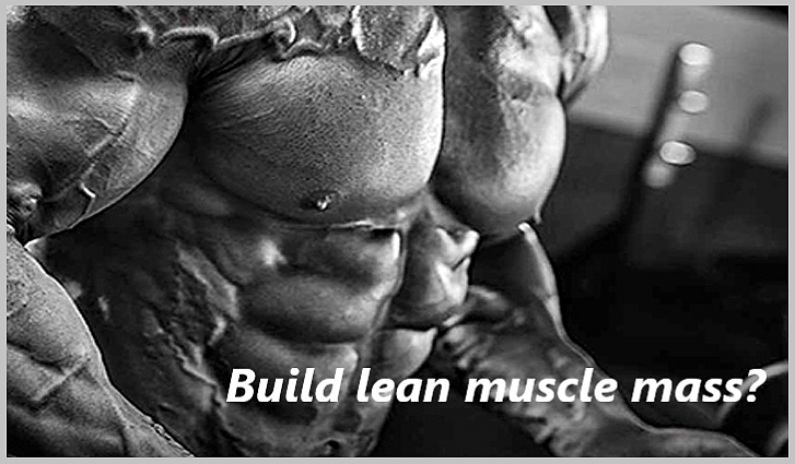 Build lean muscle mass