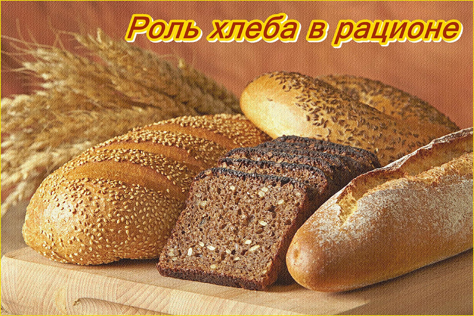 Роль хлеба в рационе Роль хлеба в рационе