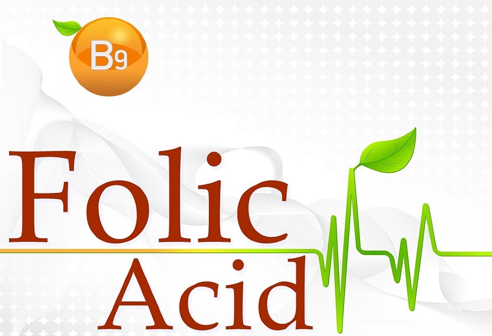 folic acid folic acid