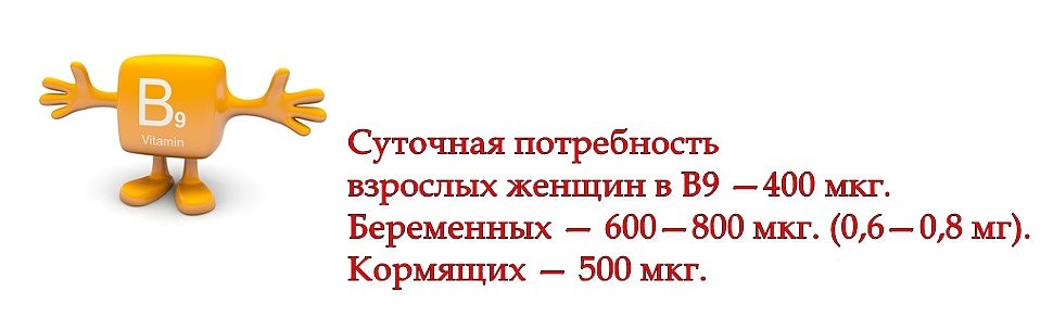 Фолиевая кислота потребность Фолиевая кислота потребность