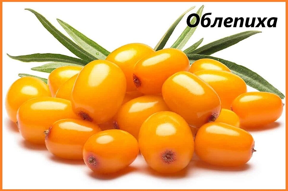 применение применение