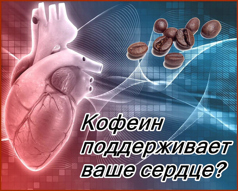 кофеин поддерживает сердце