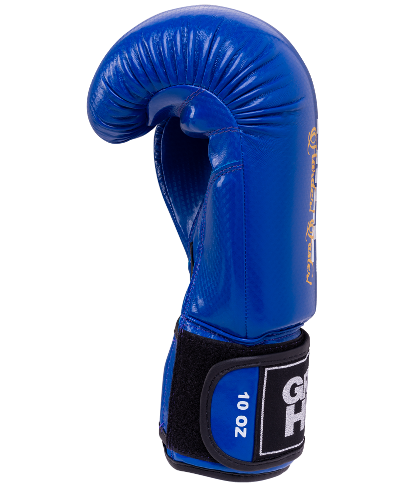 Перчатки боксерские Panther BGP-2098, 10 oz, синий