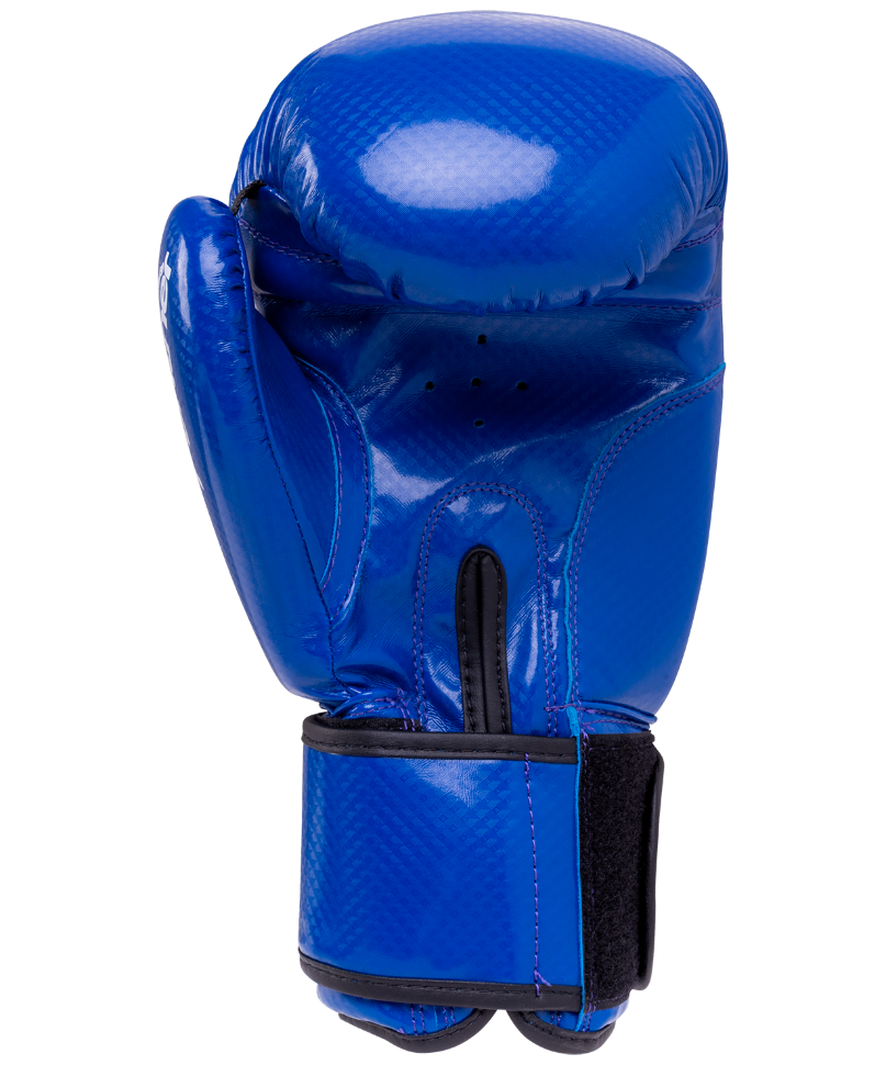 Перчатки боксерские Panther BGP-2098, 10 oz, синий