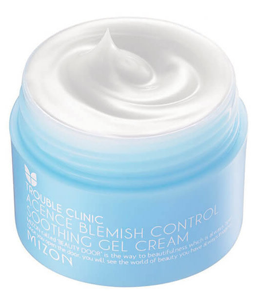 Mizon Acence Blemish Control Soothing Gel Cream 50 мл Комплексный гель-крем для проблемной кожи 