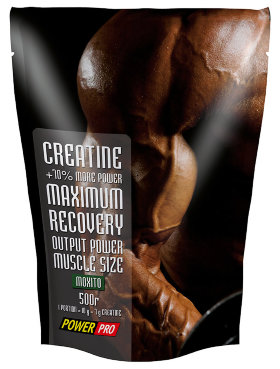 PowerPro Creatine Maximum Recovery 500 г