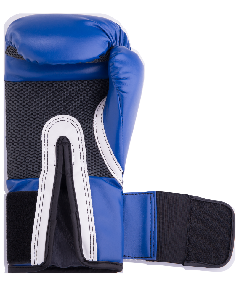 Перчатки боксерские Pro Style Anti-MB 2212U, 12oz, к/з, синие