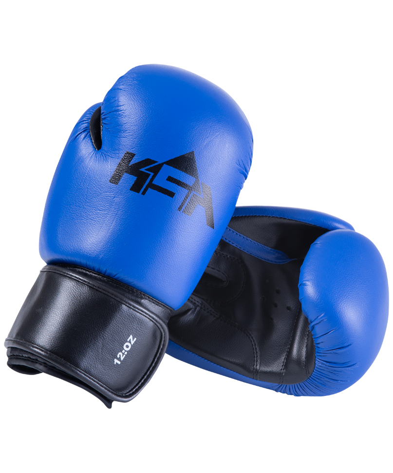 Перчатки боксерские Spider Blue, к/з, 4 oz