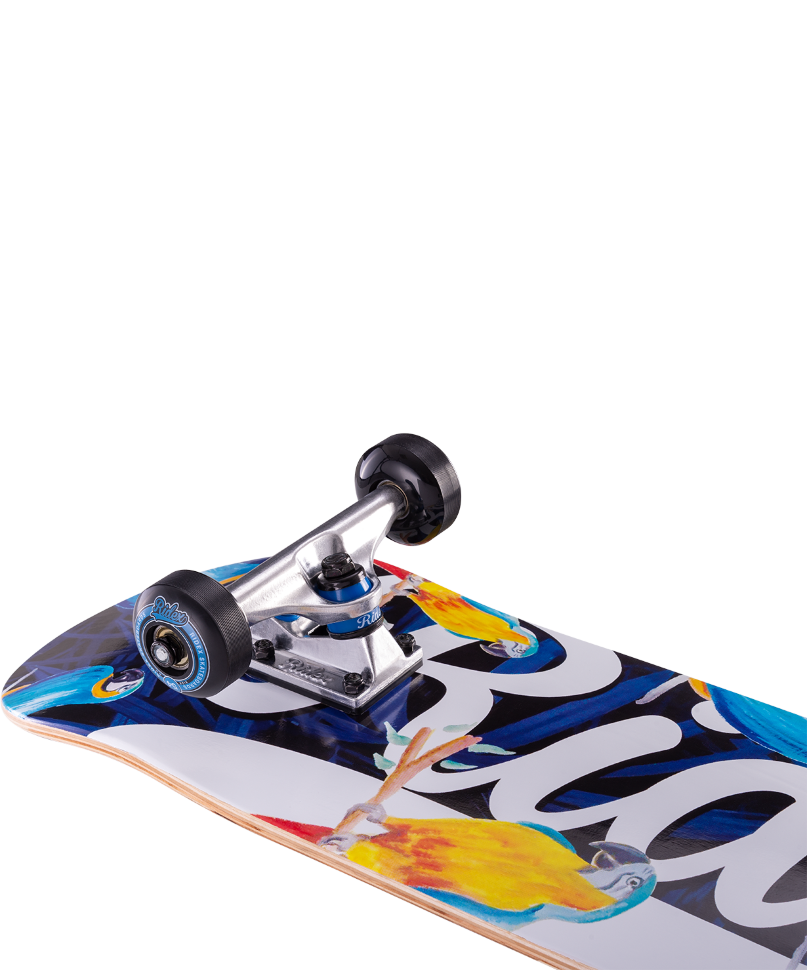 Скейтборд Arini 31.6″X8″, ABEC-5