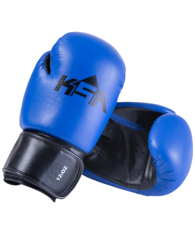Перчатки боксерские Spider Blue, к/з, 10 oz