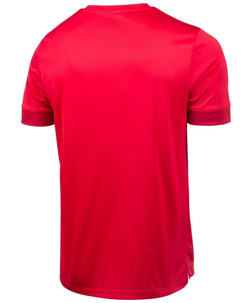 Футболка игровая DIVISION PerFormDRY Union Jersey, красный/ темно-красный/белый, детская