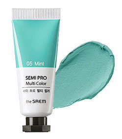 The Saem Semi Pro Multi Color 05 Mint 5 мл Универсальный цветной пигмент