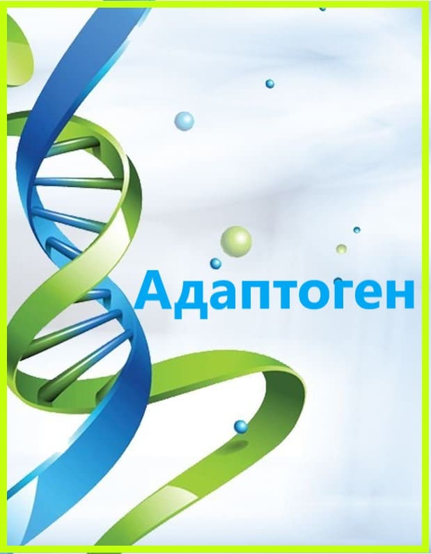 Адаптогены для вашего здоровья