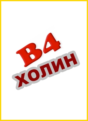 Не недооценивайте холин. Зачем человеку холин?