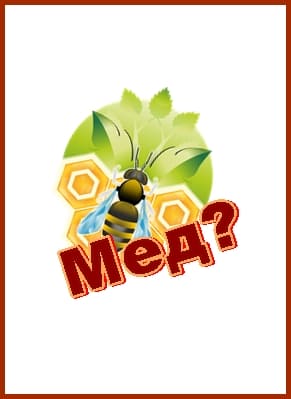 Мед. Что нужно знать о меде?